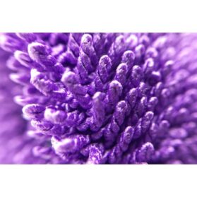 bb77bd619168cca60a169abb73bdb5de