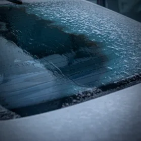 12ec53d40ba04980995028ab40b5959b